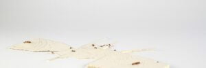 Stacey Lewis | London Architect | The Beginnings of a Place | Architecture
