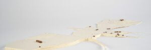 Stacey Lewis | London Architect | The Beginnings of a Place | Architecture